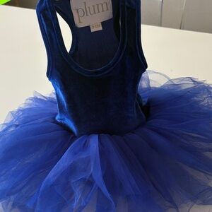 Plum Royal Blue Tutu Dress for Kids